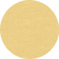 Viva Yellow